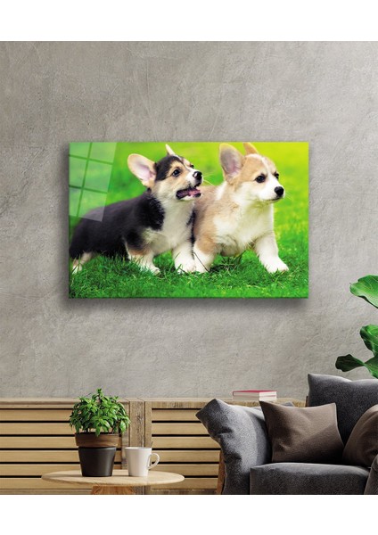 Köpekler Cam Tablo