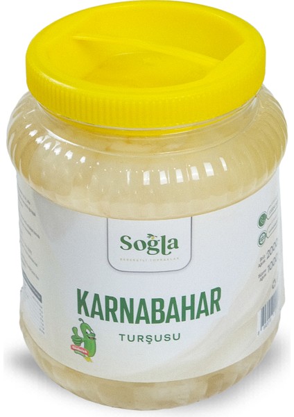 Doğal Karnabahar Turşusu 1000GR