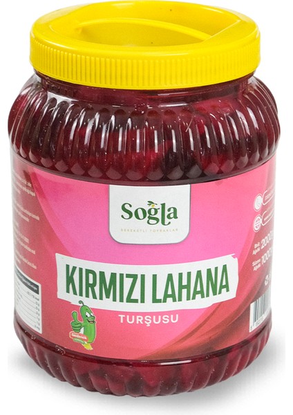 Doğal Kırmızı Lahana Turşusu 1000GR