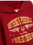 Harry Potter Kapşonlu Sweatshirt Lisanslı Uzun Kollu Şardonlu 3