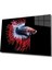 Balık Cam Tablo Fish 1