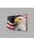 Kartallı Amerika Bayrağı Cam Tablo American Eagle Flag 1