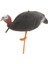 Şişirilmiş Mallard Türkiye Decoy 80X21X24CM (Yurt Dışından) 1