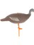 Şişirilmiş Mallard Türkiyeşık 74X19X21CM (Yurt Dışından) 1