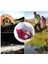 Etkinlikler Için Sırt Destekli Kayık Koltukları Stadyum Koltuğu Bleacher Boat Rafting Kırmızı (Yurt Dışından) 4