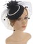 Cosplay Fascinators Ş Başlığı Saç (Yurt Dışından) 1