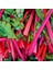 Kırmızı Saplı Pazı Tohumu Red Chard Beta Vulgaris 1