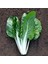 Bodur Pazı Tohumu Barese Swiss Chard Beta Vulgaris 1