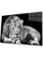 Aslan Cam Tablo 1