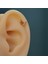 Bakır Renk Kelebekli Piercing Helix Kıkırdak Conch Lob Silver 1