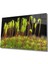 Yeşil Bitkiler Cam Tablo Green Plants 1