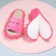  Renk Rose Red
