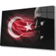 Seçili Renk Renkli