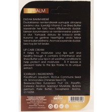 Ginncans Lıp Balm Ruj Spf+15 Classıc Dudak Koruyucu 4,8gr