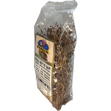 Karden Kiraz Meyve Sapı Otu 30 gr