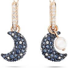 Swarovski SWR5671569 Kadın Küpe
