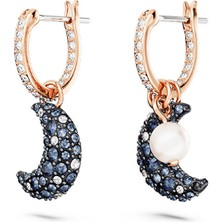 Swarovski SWR5671569 Kadın Küpe
