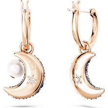 Swarovski SWR5671569 Kadın Küpe