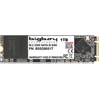 Bigboy 1TB M.2 2280 SATA SSD 550 MB/s Okuma 500 MB/s Yazma Fiyatı