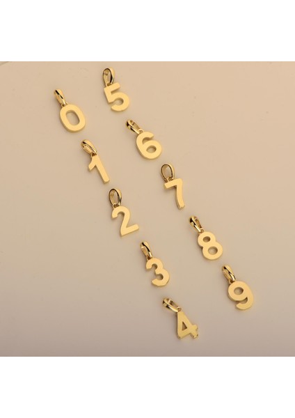 14 Ayar Bir Rakamı Altın Kolye Ucu 0,48 gr modelleri