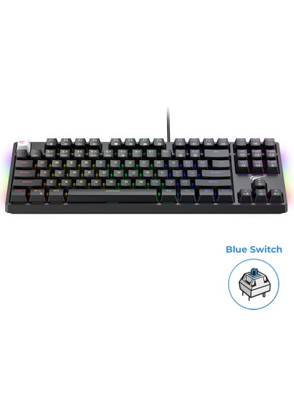 Gamenote KB890L Rgb Mekanik Klavye - Anti Ghosting Blue Switch