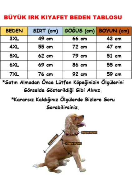 Tonitruum Fileli Su Geçirmez Orta Büyük Irk Köpek Yağmurluğu
