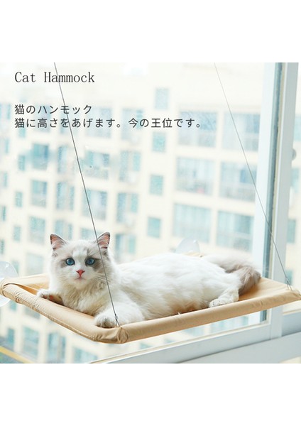 Gri Pet Vantuz Asma Kedi Hamak Yavru Kedi Tırmanma Çerçeve Sonbahar Kış Pet Yatak Kedi Hamak Çıkarılabilir Yıkanabilir Kedi Yuvası (Yurt Dışından)