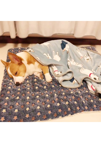 Donanma Xs 1 Kedi Yatak Mat Köpek Yatağı Pet Serme Mat Kış Sıcak Yumuşak Flanel Kuzu Yünü Battaniye Halı Küçük Büyük Köpek Kedi Çift Taraflı Kullanım Için (Yurt Dışından)