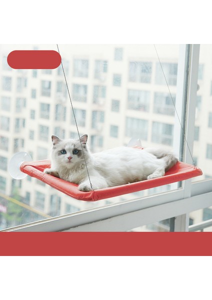 Kırmızı Asma Pet Yatak Güneşlenme Penceresi Pet Standı Kedi Hamak 20 Kg'a Kadar Rahat Pet Yatak Rafı Yatak Kedi Yatak Kedi Sepeti (Yurt Dışından)
