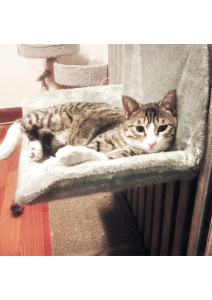 Bej L 46X30X25 cm Kedi Yatağı Asılı Pet Kedi Hamak Hava Pet Yatak Kedi Uykusu Kolay Yıkanabilir Yavru Kediler Pencere Koltuğu Ev Evcil Hayvan Aksesuarları (Yurt Dışından) fırsatları