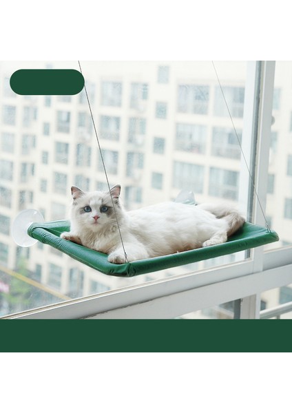 Koyu Yeşil Asma Evcil Hayvan Yatakları Güneşlenme Penceresi Evcil Hayvan Standı Kedi Hamak 20 Kg'a Kadar Rahat Pet Yatak Rafı Yataklar Kedi Yatağı Kedi Sepeti (Yurt Dışından)