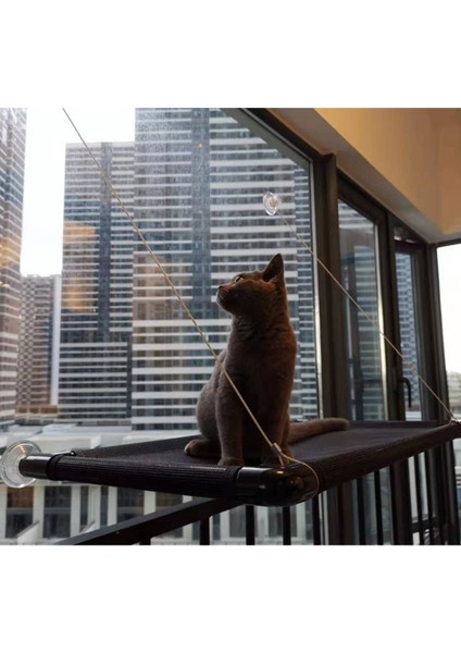 Koyu Yeşil Asma Evcil Hayvan Yatakları Güneşlenme Penceresi Evcil Hayvan Standı Kedi Hamak 20 Kg'a Kadar Rahat Pet Yatak Rafı Yataklar Kedi Yatağı Kedi Sepeti (Yurt Dışından) indirimleri