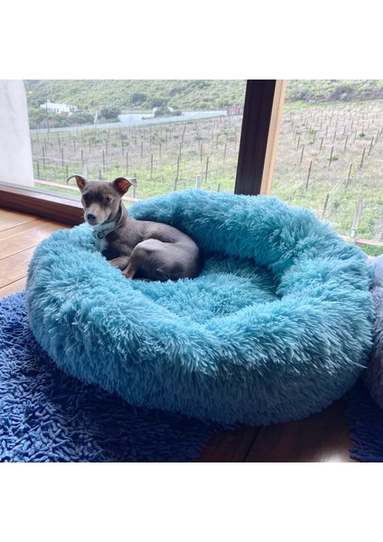 Beyaz 70CM Süper Yumuşak Köpek Yatağı Peluş Kedi Halısı Köpek Yatakları Büyük Köpekler Için Yatak Labradors Evi Yuvarlak Yastık Ev Hayvanı Ürünü Aksesuarları (Yurt Dışından) fırsatları