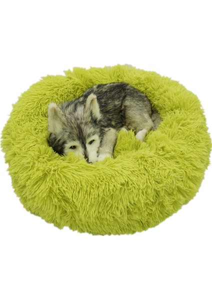 Yeşil 40CM Vıp Bağlantı Yuvarlak Peluş Kedi Yatak Kediler Evi Için Pet Yatak Kedi Yatak Sepeti Hayvanlar Ürünleri Kanepe Uzun Köpek Yatağı Yastık Mat Evcil Hayvanlar Için (Yurt Dışından) fiyatları