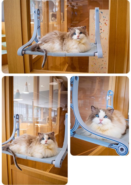 Mavi Kedi Pencere Hamak Kediler Için Dinlenme Rafı Vantuz Monteli Ekstra Büyük Yerden Tasarruflu Kedi Yatağı Kapalı Cam Pencere Için (Yurt Dışından)