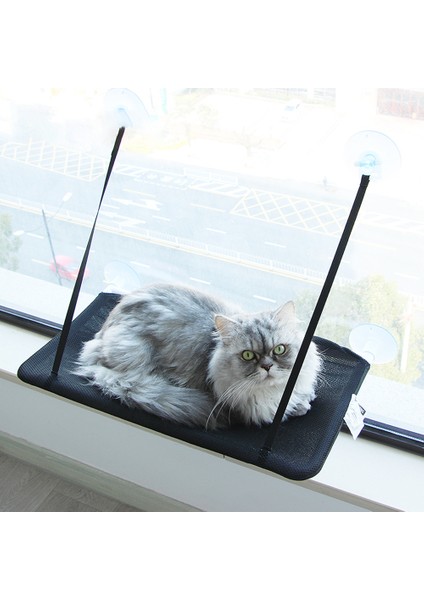 Şampanya Kedi Hamak Pencere Kedi Güneşli Koltuk Tek Katmanlı Hamak Kediler Için Vantuz Pencere Eşiği Salonu Çıkarılabilir Rulman 23 kg (Yurt Dışından)