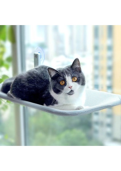 E 50X30 cm Kedi Hamak Vantuz Katlanır Balkon Yatak Asılı Cam Sepet Küçük Orta Kediler Için Dayanıklı Çelik Çerçeve Ped Yavru Malzemeleri (Yurt Dışından) fiyatları
