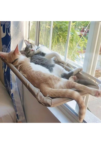 Pembe Battaniye Asılı Kedi Yatak Pet Kediler Hamak Hava Pet Yatak Evi Yavru Tırmanma Çerçeve Güneşli Pencere Koltuk Yuva Rulman 20 kg Kedi Aksesuarları (Yurt Dışından)