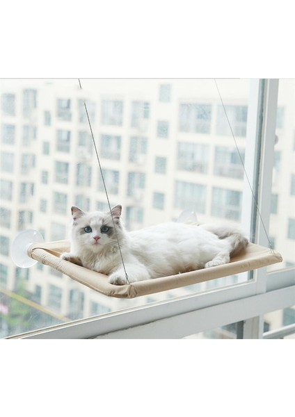 Haki 55X35 cm Rulman 20 kg Kedi Asılı Yataklar Evcil Hayvan Hamağı Yatak Kedi Güneşli Pencere Koltuğu Montajı Kediler Için Kitty Rahat Kedi Pet Yatak Rafı Koltuk Yatakları (Yurt Dışından)