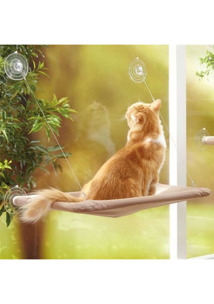 Haki 55X35 cm Rulman 20 kg Kedi Asılı Yataklar Evcil Hayvan Hamağı Yatak Kedi Güneşli Pencere Koltuğu Montajı Kediler Için Kitty Rahat Kedi Pet Yatak Rafı Koltuk Yatakları (Yurt Dışından)