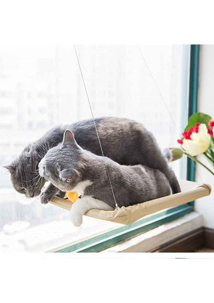 Haki 55X35 cm Rulman 20 kg Kedi Asılı Yataklar Evcil Hayvan Hamağı Yatak Kedi Güneşli Pencere Koltuğu Montajı Kediler Için Kitty Rahat Kedi Pet Yatak Rafı Koltuk Yatakları (Yurt Dışından)