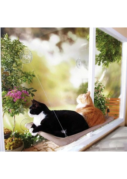 Haki 55X35 cm Rulman 20 kg Kedi Asılı Yataklar Evcil Hayvan Hamağı Yatak Kedi Güneşli Pencere Koltuğu Montajı Kediler Için Kitty Rahat Kedi Pet Yatak Rafı Koltuk Yatakları (Yurt Dışından)