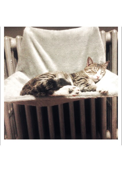 Gri 46X30X25 cm Kedi Yatağı Rahat Salon Hamak Çıkarılabilir Pencere Eşiği Ev Kedi Radyatör Asılı Yatak Yumuşak Yastık Kediler Için Evcil Hayvan Aksesuarları (Yurt Dışından) indirimleri