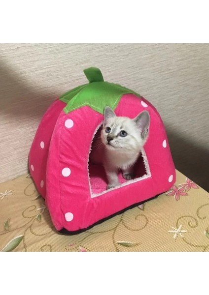 Gökyüzü Mavi L Sevimli Katlanabilir Kedi Yavru Evi Sıcak Yumuşak Kış Pamuk Pet Köpek Kedi Yatak Kulübesi Polar Rahat Yuva Küçük Orta Kedi Köpekler Için S-Xxl (Yurt Dışından) modelleri