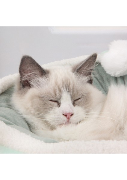 Bir S Pet Peluş Evcil Hayvan Hamağı Kedi Yuva Kış Kısa Yuvarlak Ev Yastık Sıcak Lüks Kedi Sepeti Yuva Köpek Kulübesi Köpek Kedi Ev Gereçleri (Yurt Dışından) fırsatları