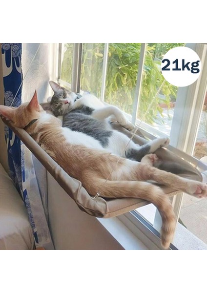 Blac Kedi Hamak Tüm Yıl Boyunca Evcil Hayvan Yuva Ürünleri Vantuz Kedi Hamak Pencere Eşiği Asılı Hamak Çıkarılabilir ve YIKANABILIR2023 (Yurt Dışından)
