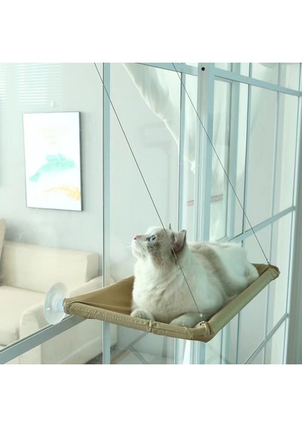 Blac Kedi Hamak Tüm Yıl Boyunca Evcil Hayvan Yuva Ürünleri Vantuz Kedi Hamak Pencere Eşiği Asılı Hamak Çıkarılabilir ve YIKANABILIR2023 (Yurt Dışından)
