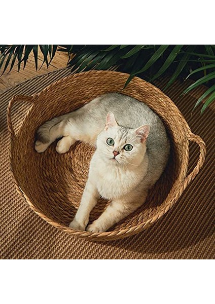 Stil 2 L 15 Pound Içinde Evcil Hayvan Sepeti Yatak Rattan Çim Dokuma Kedi Yuvası Köpek Kulübesi Saman Kazıma Tahtası Yatak Yavru Kedi Yavrusu Için Tüm Sezon Evrensel (Yurt Dışından)