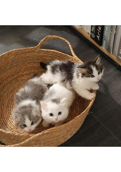 Stil 2 L 15 Pound Içinde Evcil Hayvan Sepeti Yatak Rattan Çim Dokuma Kedi Yuvası Köpek Kulübesi Saman Kazıma Tahtası Yatak Yavru Kedi Yavrusu Için Tüm Sezon Evrensel (Yurt Dışından)