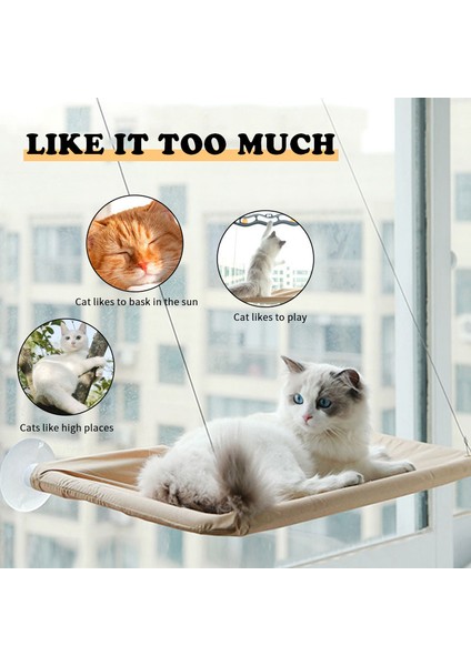 G Yeni Kedi Hamak Pencere Askısı Kedi Hamak Yıkanabilir Ayrılabilir Pet Yatak Emme Raf Çanta Yatak Koltuk Kedi Uyku Pet Malzemeleri (Yurt Dışından)